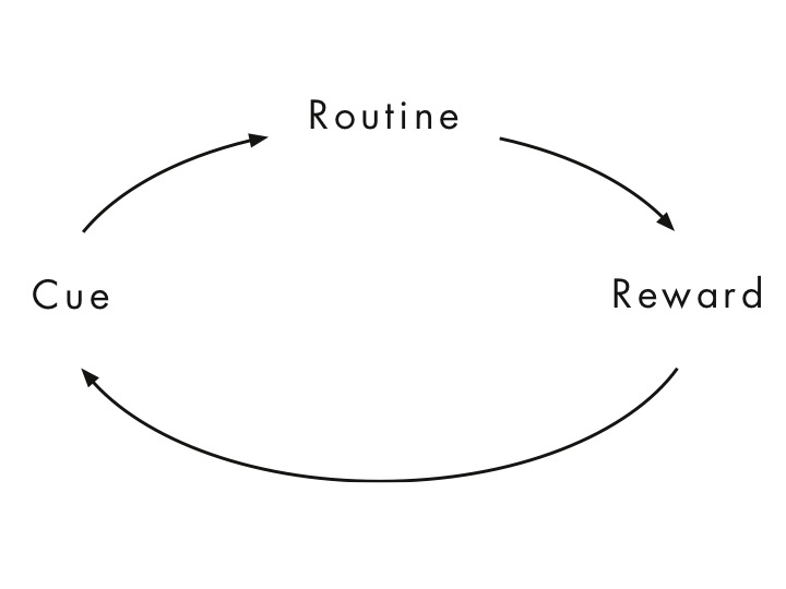 THe power of Habit diagram